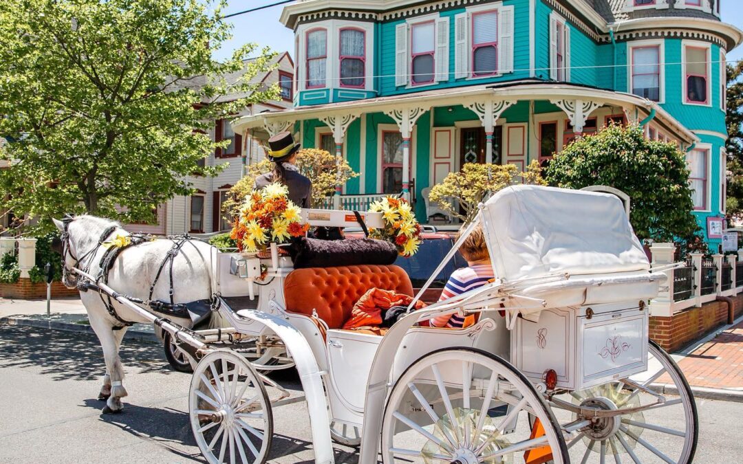 Just steps from the Ashley Rose are horse drawn carriages, offering the most charming way to explore the island of Cape May.