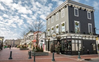 Weekend plans — walks down Washington Street, cocktails fireside, a good book in bed…January on the island of is the highest form of self care. Gather friends and escape to the Cape with special winter pricing through Valentine’s Day. www.AshleyRoseCapeMay.com