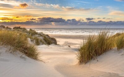 Spring on the Shore  The beaches are quiet, the breeze is crisp, and the first signs of spring are in the air. Early spring in Cape May is the perfect time for peaceful walks along the dunes and uninterrupted ocean views. Plan your off-season escape and experience the beauty of the shore before summer arrives. Book your stay at The Ashley Rose today.